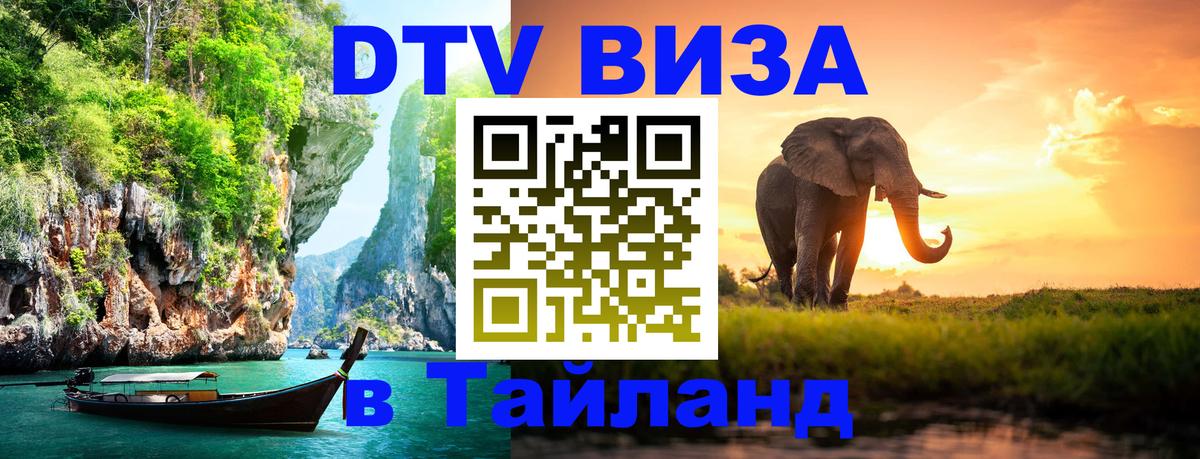 Оформление DTV визы под ключ: стоимость и тарифы, только загранпаспорт - 